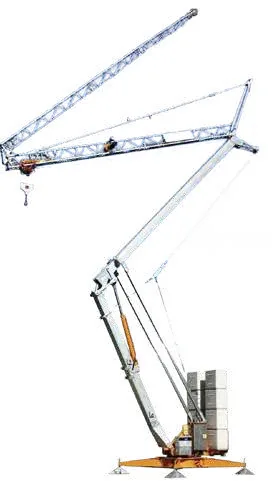 Grúa auto montante H24